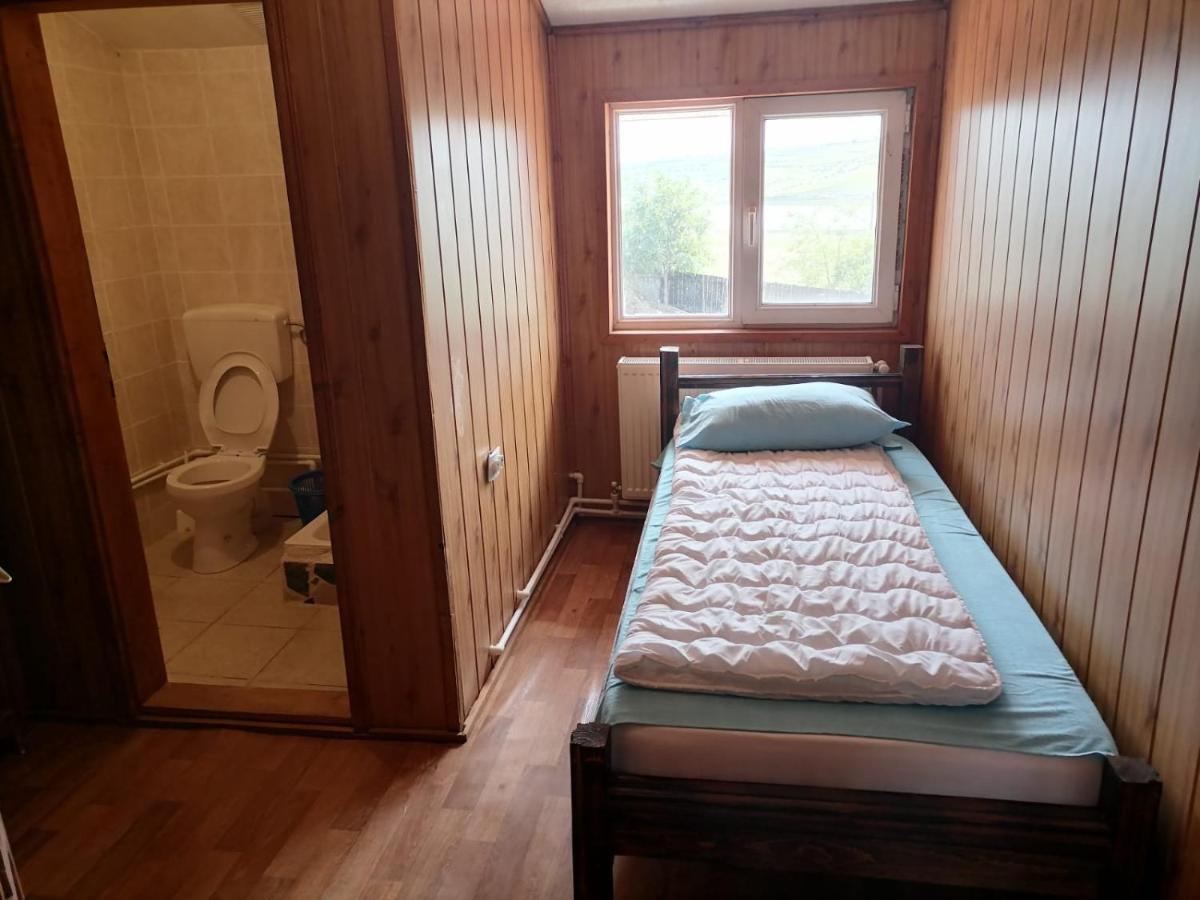 La Elvetian Hotel Iasi Bagian luar foto